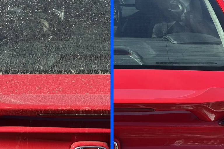 Alex performing a mobile car detail